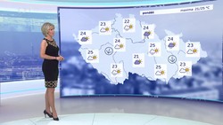 Obrázek