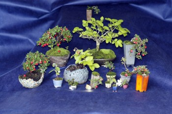 Come avete iniziato a fare bonsai? - Pagina 3 5b845f695712113