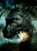 Эрагон / Eragon (Джереми Айронс, Джон Малкович, 2006) 2356c2657042983