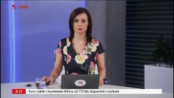 Obrázek