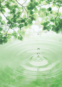 Вода, воздух и зелень / Water, Air and Greenery 4f49bc1322862865