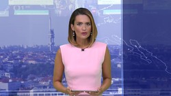 Obrázek