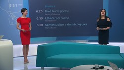 Obrázek