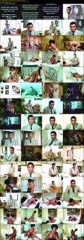 imagebam.com