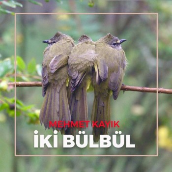 Mehmet Kayık - İki Bülbül (2019) Full Albüm İndir Mehmet Kayık - İki Bülbül (2019) Full Albüm İndir