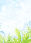 Вода, воздух и зелень / Water, Air and Greenery B626241322862950