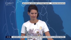 Obrázek