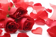 Цветы ко дню Валентина / Valentines flowers 0402ef1352684442