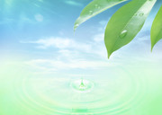 Вода, воздух и зелень / Water, Air and Greenery 92b45f1322862876