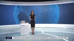 Obrázek