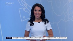Obrázek