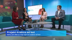 Obrázek