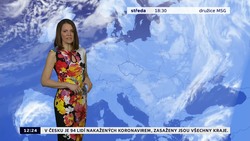Obrázek