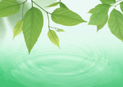 Вода, воздух и зелень / Water, Air and Greenery 59c6ef1322862872