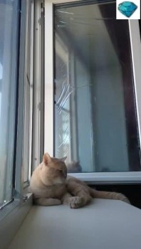 [Image: cd94711347241057.jpg]