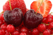 Спелые ягоды / Ripe berries  B4a4351352779677