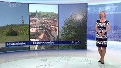 Obrázek