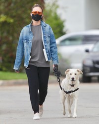 Olivia Wilde - Out walking her dog in Los Angeles 04/05/2020