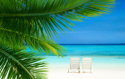 Тропический пляж на Мальдивах / Tropical beach in Maldives 12d1d01322864662