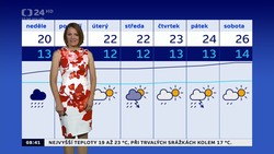 Obrázek