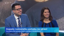 Obrázek