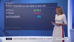 Obrázek