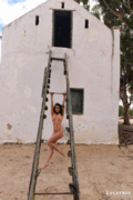 http://thumbs2.imagebam.com/22/97/22/f0c84a954173984.gif