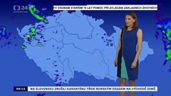 Obrázek