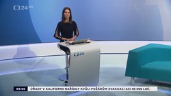 Obrázek