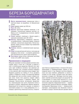 Подарочные издания. Красота и здоровье в 18 книгах (2011-2022) PDF, FB2