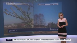Obrázek