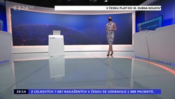 Obrázek