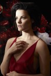 Jaimie Alexander 10a3a41328009211