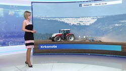 Obrázek