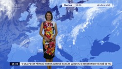 Obrázek