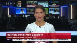 Obrázek