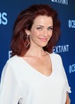 Annie Wersching 2306f21330866130