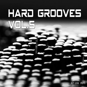 VA - Hard Grooves, Vol. 5 (2019) Full Albüm İndir VA - Hard Grooves, Vol. 5 (2019) Full Albüm İndir