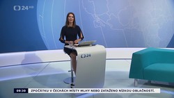 Obrázek