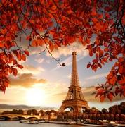 Эйфелева башня в осенних листьях / Eiffel Tower with autumn leaves in Paris 29ae721322849980