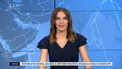 Obrázek