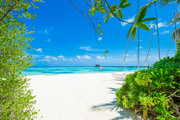 Тропический пляж на Мальдивах / Tropical beach in Maldives D4fbfd1322864645