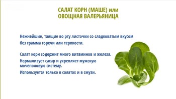 Зеленые листовые овощи. Проростки и микрозелень (Видеокурс)