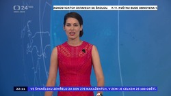Obrázek