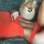 http://thumbs2.imagebam.com/37/84/ab/844d581175499494.gif