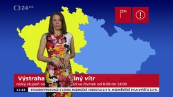 Obrázek