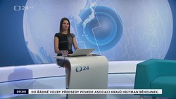 Obrázek
