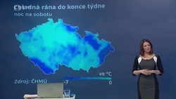 Obrázek