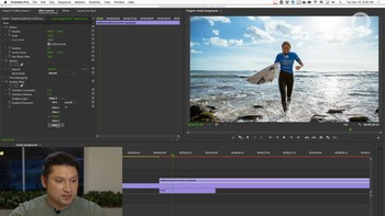 Эффекты Adobe Premiere Pro - Гибридный курс (2020) Видеокурс