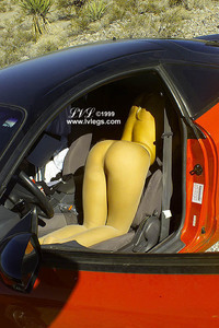 IPB Image
